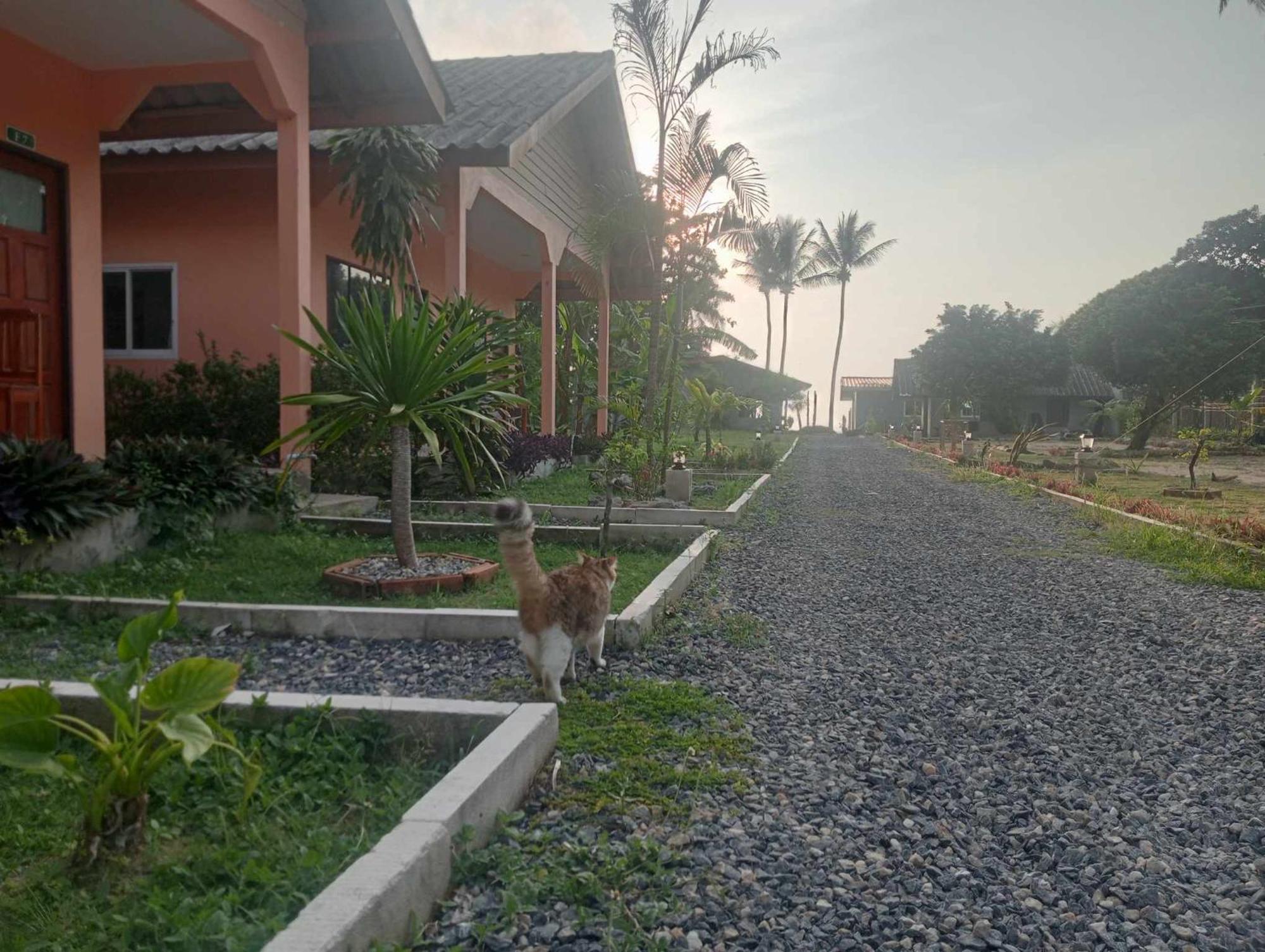 Scandinavian Beach Resort Ko Lanta エクステリア 写真